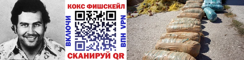 Кокаин FishScale  где купить наркоту  Пущино 