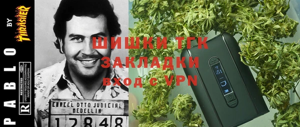 сатива Арсеньев